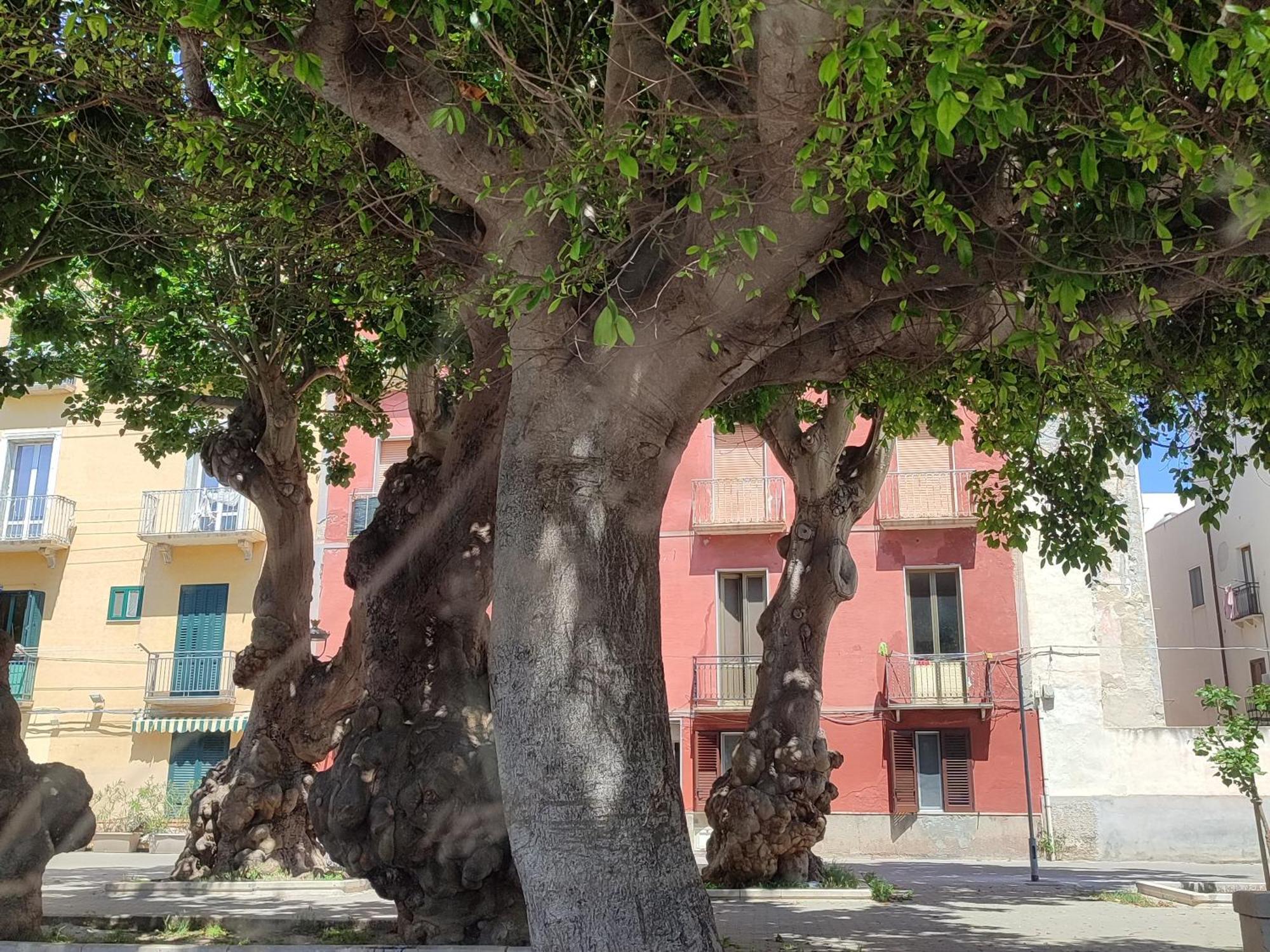 Alla Marina Da Pina Trapani Exterior foto