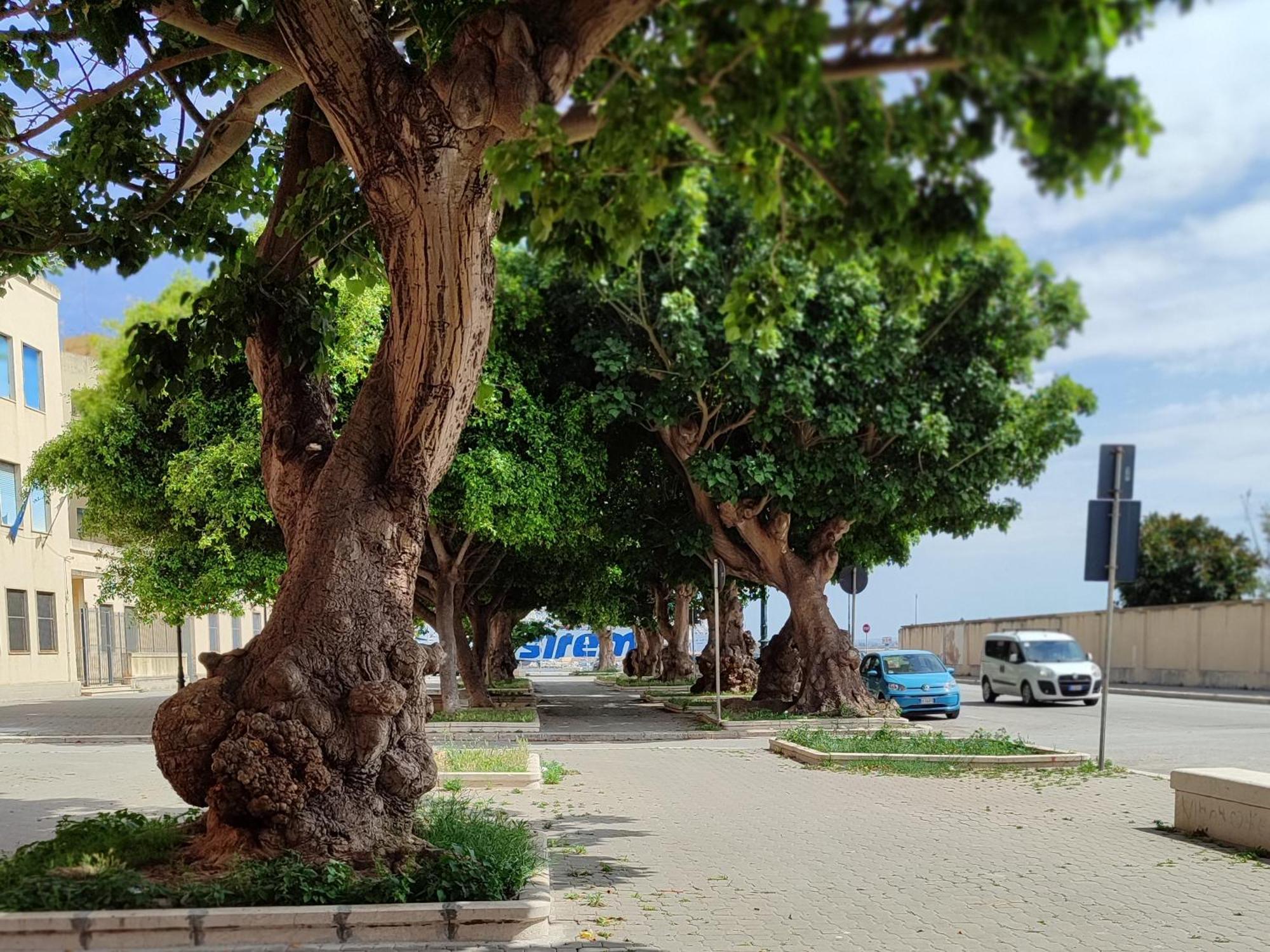 Alla Marina Da Pina Trapani Exterior foto